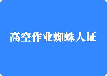 BB日B高空作业蜘蛛人证